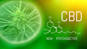 cbd cannabis packaging labels ideas design